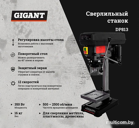 Станок Gigant DP813