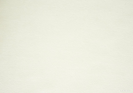 Декоративная подушка Сонум Тедди 45x45 (песочный)