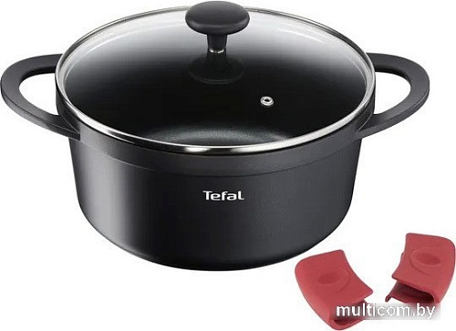 Кастрюля Tefal Pro Cook E2184675