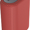 Беспроводная колонка Canyon CNE-CBTSP4R