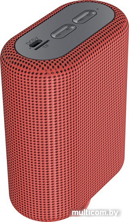Беспроводная колонка Canyon CNE-CBTSP4R