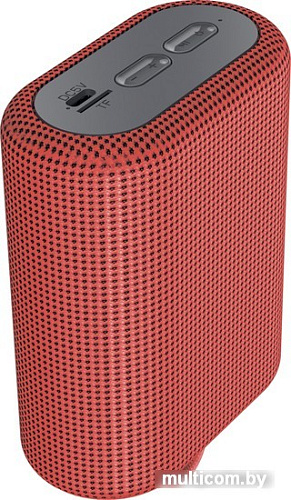 Беспроводная колонка Canyon CNE-CBTSP4R