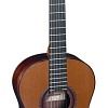 Акустическая гитара Almansa Conservatory 434