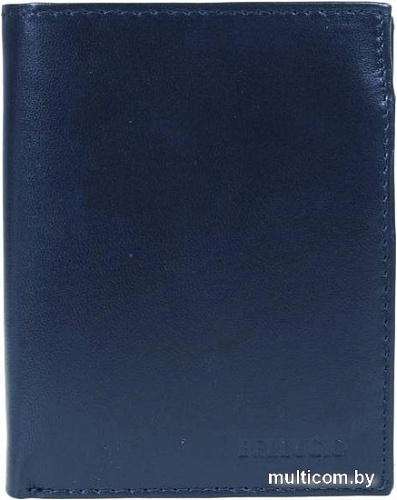 Кошелек Sanchez Casual ZM-110R-072 (синий)