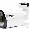 IP-камера Ginzzu HIB-5301A