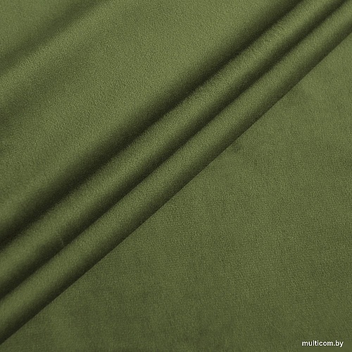 Комплект штор Pasionaria Репаблик 480x230 (светло-зеленый)