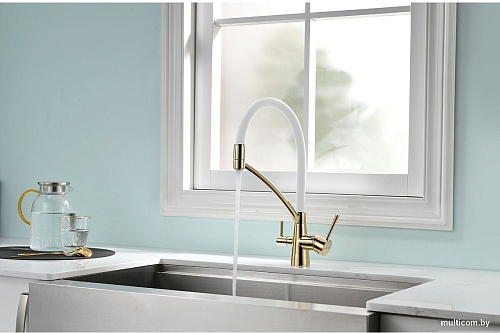 Смеситель Paulmark Siegen Si213111-GW