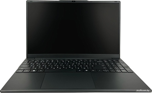 Ноутбук Hiper Workbook FWBC151-I312UR08N2FABWPG