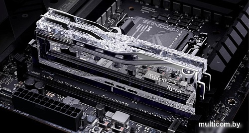 Оперативная память G.Skill Trident Z5 Royal 2x32ГБ DDR5 6400МГц F5-6400J3239G32GX2-TR5S