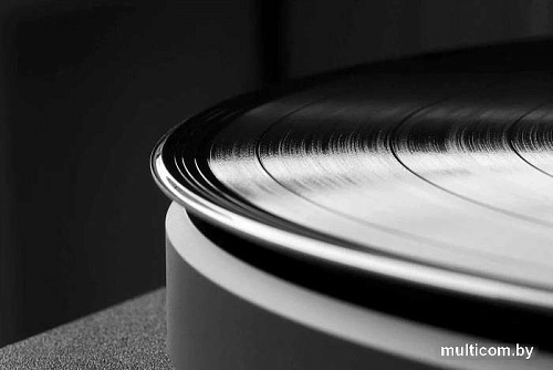 Комплект для очистки винила AM Clean Sound Record Cleaner Set