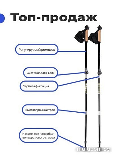Палки для скандинавской ходьбы RoadLike Scandi 405408 (черничный)