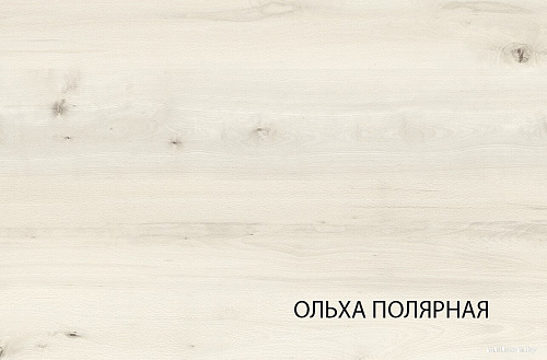 Шкаф распашной Anrex Bjork 4DG3S Z (ольха полярная/оникс)