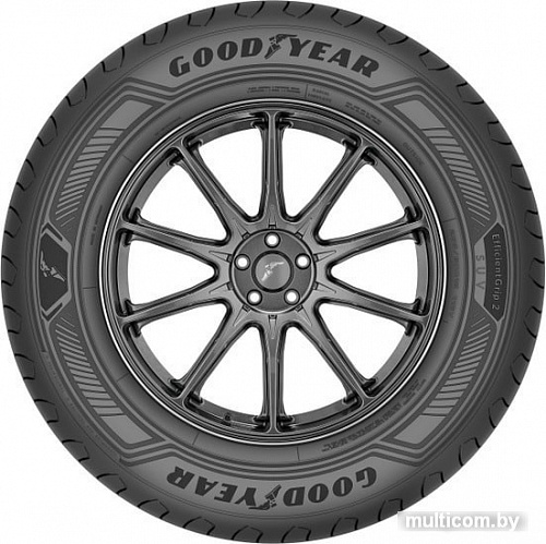 Автомобильные шины Goodyear EfficientGrip 2 SUV 225/55R19 103V