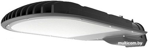 Уличный фонарь LLT СКУ-02 PRO 45Вт 230В 6500К IP65