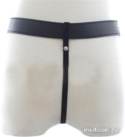 Трусы Kissexpo 322402030 (черный/серебристый)