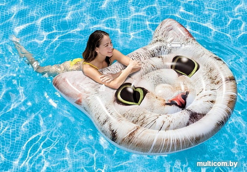 Надувной плот Intex Curious Cat 58784