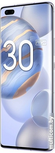 Смартфон HONOR 30 Pro+ EBG-AN10 8GB/256GB (титановый серебристый)
