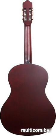 Акустическая гитара Aileen ACG160