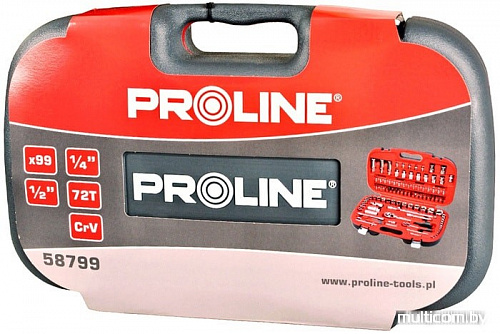 Универсальный набор инструментов PROLINE 58799 (99 предметов)
