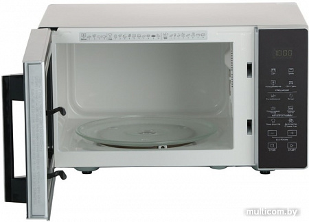 Whirlpool MWPS 253 SM
