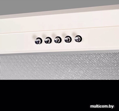 Кухонная вытяжка KUPPERSBERG Inlinea 52 C X