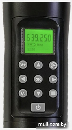 Радиомикрофон DSPPA D5811