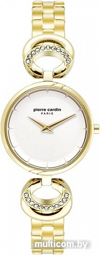 Наручные часы Pierre Cardin PC902752F06