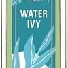 Brocard Water Ivy EdT (55 мл)