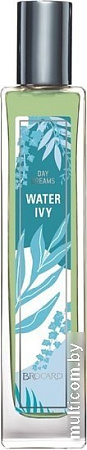 Brocard Water Ivy EdT (55 мл)