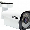IP-камера Ginzzu HIB-5303A
