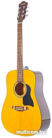 Акустическая гитара Fabio FW220 N