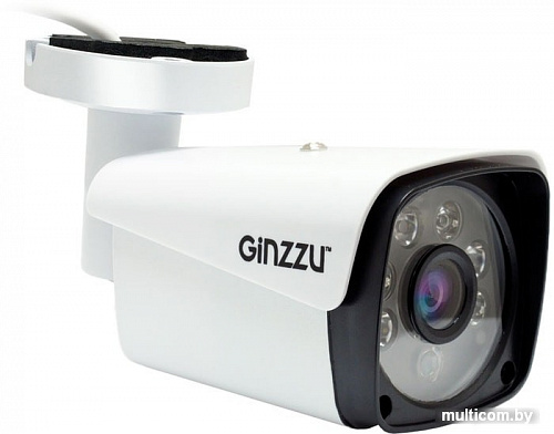 IP-камера Ginzzu HIB-5303A