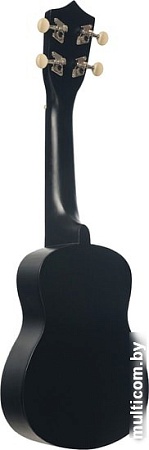 Укулеле Terris JUS-10 BK