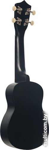 Укулеле Terris JUS-10 BK