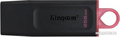 USB Flash Kingston Exodia 256GB