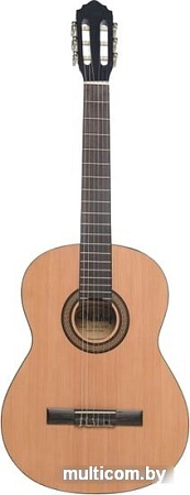 Акустическая гитара Veston 4/4 C-50A SP/N