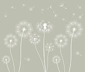 Фотообои Citydecor Одуванчик с защитным покрытием 300x254