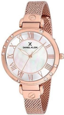 Наручные часы Daniel Klein DK12073-3