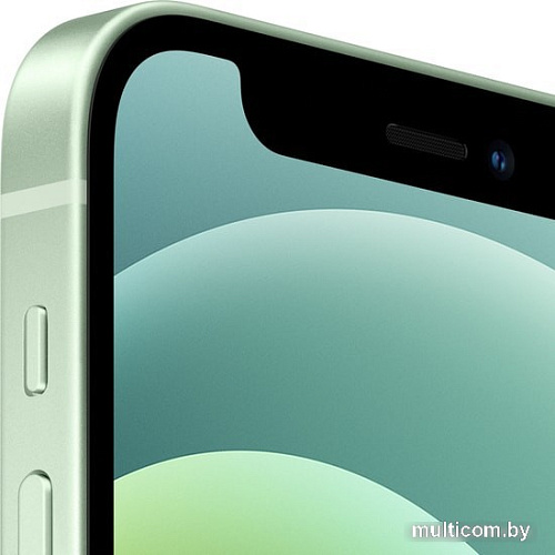 Смартфон Apple iPhone 12 mini 256GB Воcстановленный by Breezy, грейд A (зеленый)