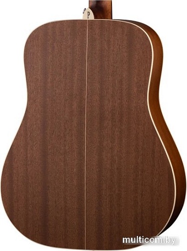 Акустическая гитара Parkwood S21-GT