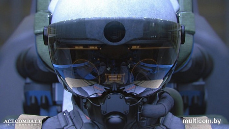 Игра Ace Combat 7: Skies Unknown для PlayStation 4