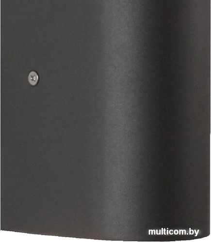 Уличный настенный светильник Favourite Tend 3026-2W