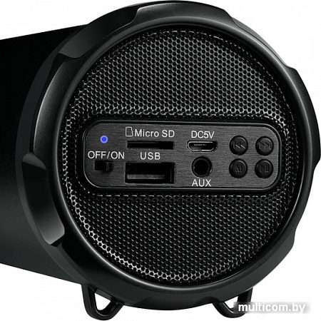 Беспроводная колонка Canyon CNE-CBTSP5