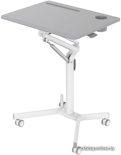 Стол для ноутбука CACTUS CS-FDS101WGY