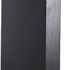 Монитор Wize WR-15GT