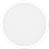Светильник-тарелка Xiaomi Mi Smart LED Ceiling Light 300мм (международная версия)