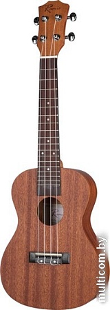 Укулеле Ramis RC-01