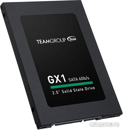 SSD Team GX1 120GB T253X1120G0C101
