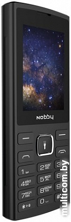 Мобильный телефон Nobby 210 (черный)