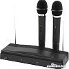 Микрофон Ritmix RWM-210